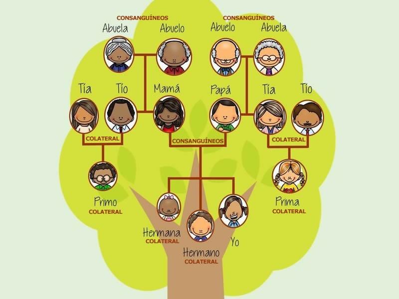 Segunda Pregunta: ¿A quién se la vendes?