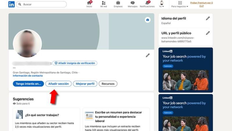 Paso 1) Haz clic en “Añadir sección”